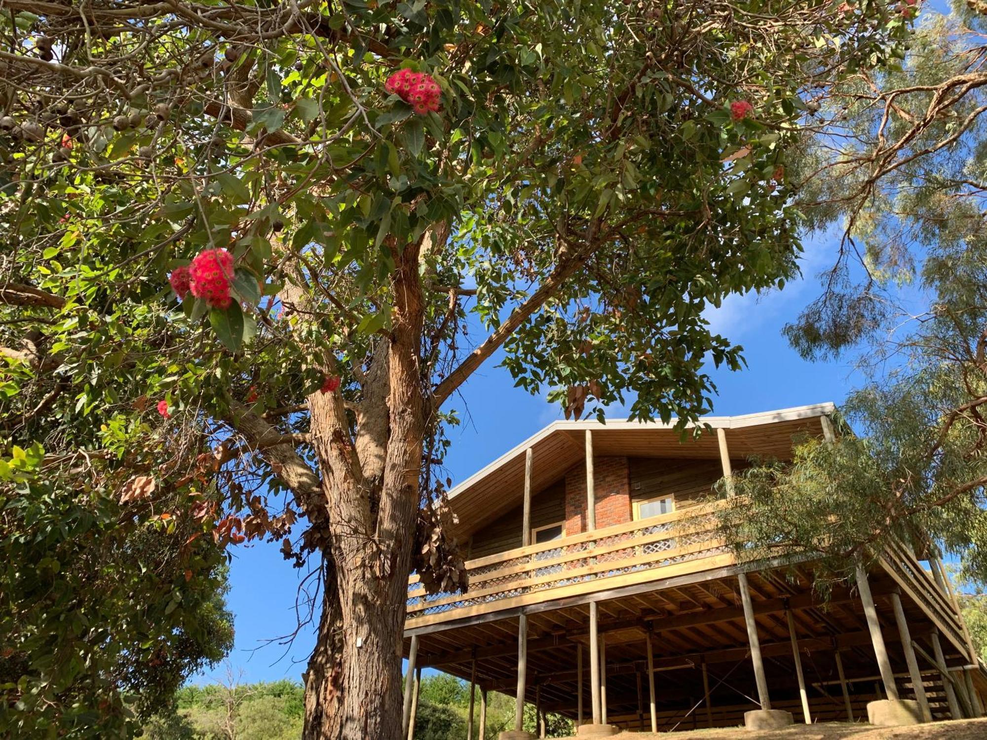 Iluka Retreat Glamping Village Red Hill South Экстерьер фото